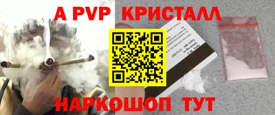 спиды Кингисепп