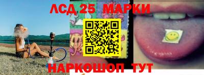 спиды Кингисепп
