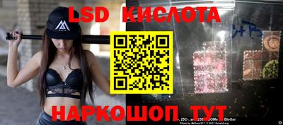 спиды Кингисепп