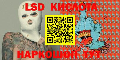 спиды Кингисепп