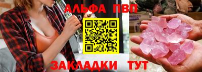 спиды Кингисепп