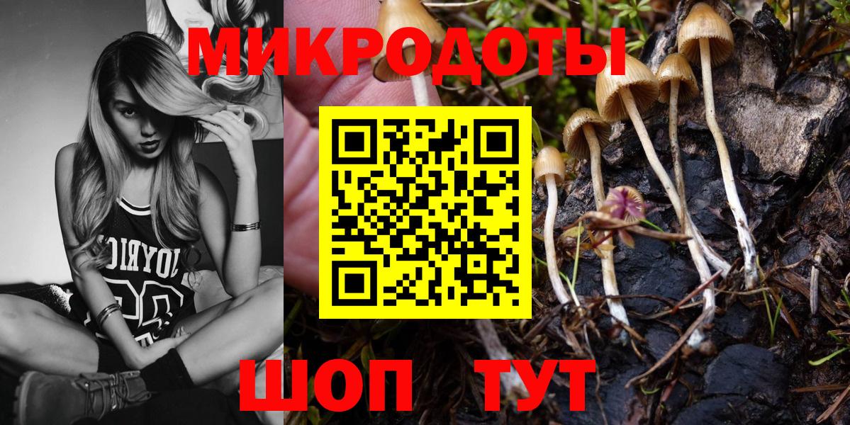Красногорск  Галлюциногенные грибы Cubensis  Галлюциногенные грибы мицелий  Вход с VPN 
