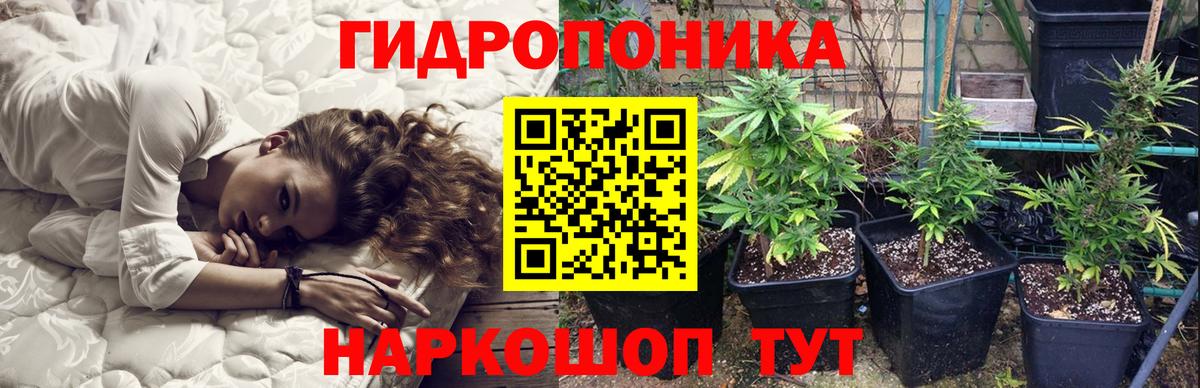 Марихуана SATIVA & INDICA  Марихуана семена  Каннабис ГИДРОПОН  Канабис OG Kush  Красногорск  Вход с VPN 